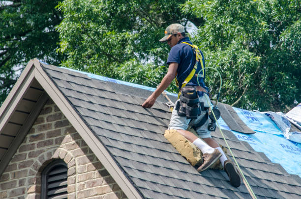 Roof Gutter Cleaning in West Wyoming, PA